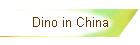 Dino in China