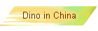 Dino in China